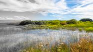 Un fonds NAture pour préserver le patrimoine naturel